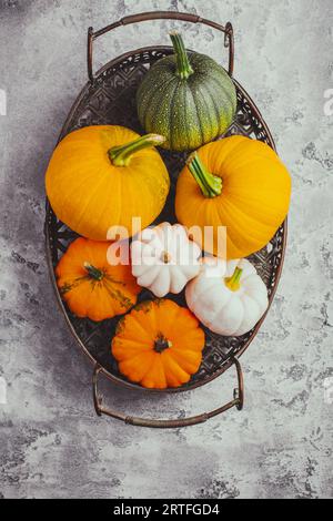 Herbstgemüse in einem Korb, Ernte von Zucchini, gelbem Kürbis und Pattypan-Kürbis Stockfoto