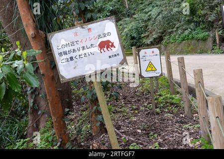 Kagoshima, Japan. März 2023. Schilder warnen Naturliebhaber vor Gefahren, die von wilden Bohrlöchern und Schweinen auf einem Wanderweg ausgehen. (Bild: © Taidgh Barron/ZUMA Press Wire) NUR REDAKTIONELLE VERWENDUNG! Nicht für kommerzielle ZWECKE! Stockfoto