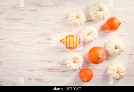 Weiße und orange Kürbisse auf hölzernem Hintergrund. Thanksgiving und Herbstkonzept. Stockfoto