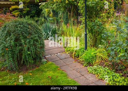 Garten mit grünen Pflanzen und kleinem Pfad, Gartenkonzept Stockfoto