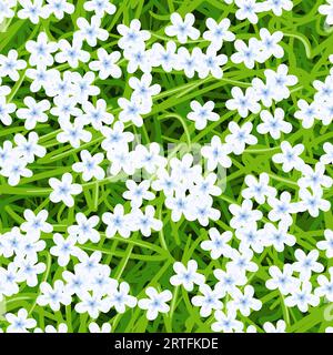 Nahtloser Hintergrund weiße Blumen auf grünem Gras Stock Vektor