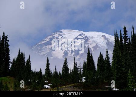 Eine üppige Baumlandschaft vor einem majestätischen Bergmassiv bietet eine atemberaubende natürliche Kulisse Stockfoto