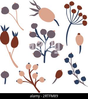 Set aus flachen, isolierten Illustrationen von Herbstbeeren in gemütlichen Herbstfarben. Handgezeichnetes Vektordekor für Scrapbooking, Textil- oder Buchumschläge Stock Vektor