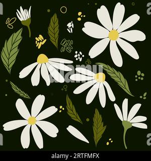 Weiße Kamillenblüten mit Gänseblümchen. Kamillenvektor-Illustrationsset. Niedliche Natursammlung mit rundem Blumenkopf. Dekorationselement. Love Card-Symbol Stock Vektor