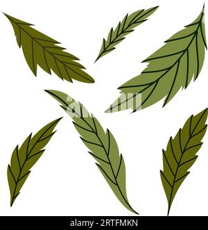 Weiße Kamillenblüten mit Gänseblümchen. Kamillenvektor-Illustrationsset. Niedliche Natursammlung mit rundem Blumenkopf. Dekorationselement. Love Card-Symbol Stock Vektor