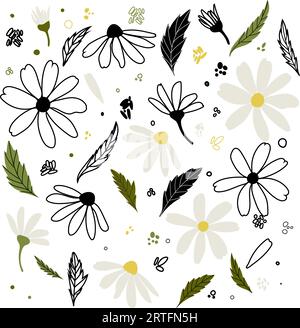 Weiße Kamillenblüten mit Gänseblümchen. Kamillenvektor-Illustrationsset. Niedliche Natursammlung mit rundem Blumenkopf. Dekorationselement. Love Card-Symbol Stock Vektor