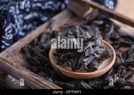 Trockener schwarzer Pilz, chinesischer schwarzer Pilz oder Baum-schwarzer Muer-Pilz. Stockfoto
