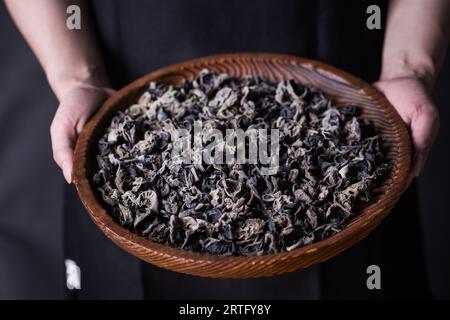 Trockener schwarzer Pilz, chinesischer schwarzer Pilz oder Baum-schwarzer Muer-Pilz. Stockfoto