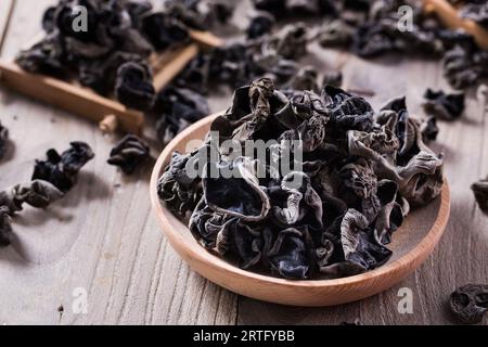 Trockener schwarzer Pilz, chinesischer schwarzer Pilz oder Baum-schwarzer Muer-Pilz. Stockfoto