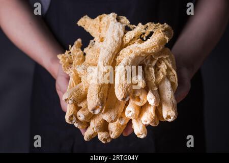 Getrockneter tropischer Stinkhornpilz, Phallus indusiatus, getrockneter Bambuspilz in Teller für den Einsatz in heißen Töpfen Stockfoto