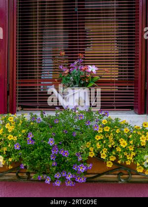 Fenster mit venezianischen Jalousien, Blumentopf mit Blumen und Vase mit Blumenkranz Stockfoto