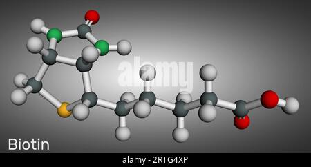 Biotin-Molekül. Vitamin B7, das in vielen Multivitaminprodukten enthalten ist. Molekulares Modell. 3D-Rendering. Abbildung Stockfoto