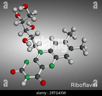 Riboflavin, Vitamin-B2-Molekül. Es ist wasserlösliches Flavin, das in Lebensmitteln enthalten ist und als Nahrungsergänzungsmittel E101 verwendet wird. Molekulares Modell. 3D-Rendering. Illus Stockfoto