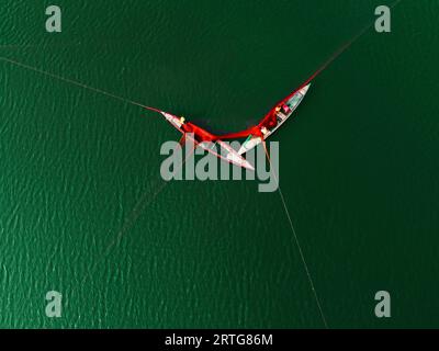 Bogra, Rajshahi, Bangladesch. September 2023. Fischer strecken ein riesiges Netz aus, während sie mit einer uralten Technik Fische in türkisfarbenen Gewässern auf dem Jamuna River in Bogra, Bangladesch, fangen. Algen im Wasser lassen diesen Fluss türkis aussehen. Die traditionelle Methode des Versinkens des riesigen Netzes wird verwendet, um kleine Fische wie Barben, Wels und Gourami zu fangen. Sie breiten das Netz in einem weiten Bereich aus und ziehen es dann sanft an den Ecken nach oben, so dass sie die Fische umkreisen und sie nicht mehr entkommen können. Sie fangen jedes Mal zwischen 8 kg und 10 kg kleine Fische und können dies bis zu fünf Mal am Tag tun. Trotzdem Stockfoto