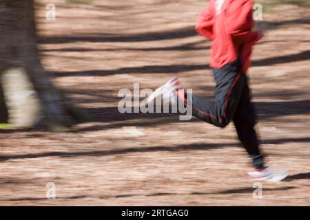 Porträt des Mannes Körper laufen im park Stockfoto