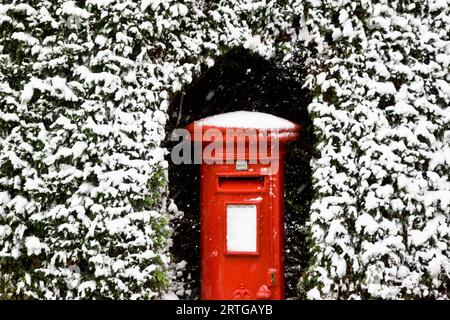 Britische Post Box umgeben durch Absicherung mit Schnee bedeckt Stockfoto