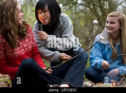 Teenager-Mädchen, die Marshmallow über dem Lagerfeuer rösten, grinsen und leuchten ihr eine Fackel über das Gesicht Stockfoto