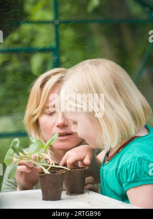 Junge blonde Mädchen hilft Frau tendenziell Sämlinge im Gewächshaus Stockfoto