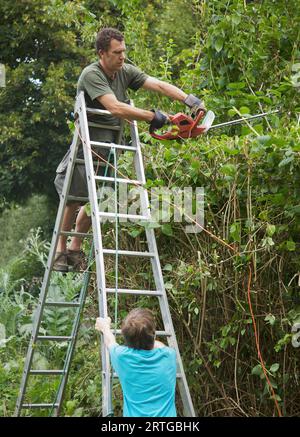 Mann, der mit einer elektrischen Heckenschere auf einer Leiter steht Stockfoto