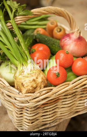 Nahaufnahme von Weidenkorb gefüllt mit gemischtem Gemüse Stockfoto