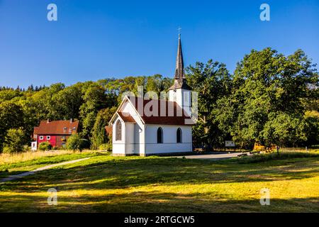 Spätsommerwanderung durch den Nationalpark Harz um Schierke - Sachsen-Anhalt - Deutschland Stockfoto