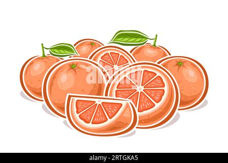 Vektor-Logo für Grapefruits, dekoratives horizontales Poster mit Cartoon-Design, fruchtige Grapefruitkomposition, Fruchtprint mit vielen ganzen und gehackten c Stock Vektor