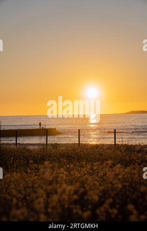 Paisaje con puesta de sol en el mar con pescador y campo de espigas Stockfoto