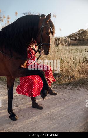 Unkenntlich Dame im gepunkteten roten Kleid führt tänzelnden Pferd auf Pfad in der Nähe von Wiese Stockfoto