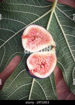 Blick von oben auf das sinewy Ficus-Blatt auf einem Holztisch mit halbierten tropischen Früchten darüber Stockfoto