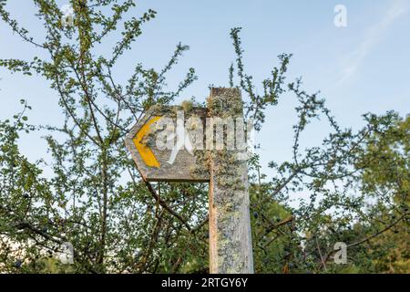 Hölzerne Schilder und Pfosten, die die Richtung für einen öffentlichen Wanderweg zeigen und mit Flechten bedeckt sind. Stockfoto