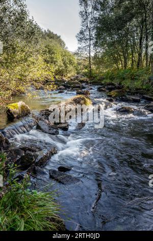 Fluss Nantcol und Wasserfälle in einem Waldgebiet. Stockfoto