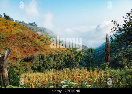 Afrikanische Landschaften mit Häusern und landwirtschaftlichen Betrieben in den Uluguru-Bergen, Tansania Stockfoto