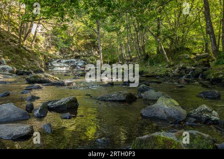 Fluss Nantcol und Wasserfälle in einem Waldgebiet. Stockfoto