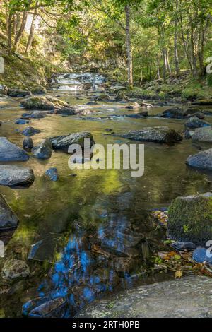 Fluss Nantcol und Wasserfälle in einem Waldgebiet. Stockfoto