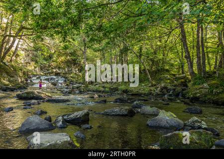 Fluss Nantcol und Wasserfälle in einem Waldgebiet. Stockfoto