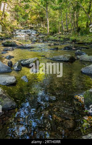 Fluss Nantcol und Wasserfälle in einem Waldgebiet. Stockfoto