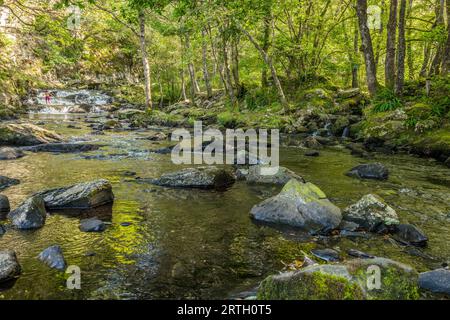 Fluss Nantcol und Wasserfälle in einem Waldgebiet. Stockfoto