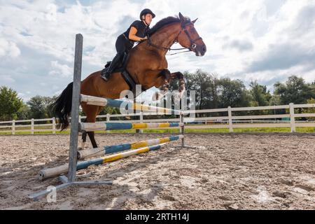 Professionelle Pferde, die den Hürdensprung auf ihrem wunderschönen Pferd in einer Outdoor-ReitArena mit Hindernissen und sandigem Boden trainieren Stockfoto
