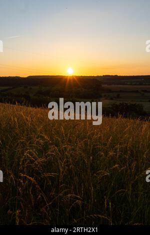 Das große Finale der Natur: Ein goldener Sonnenuntergang über Weizenfeldern und üppigen grünen Horizonten Stockfoto