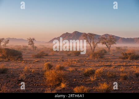 Neblige Landschaft in der Wüste Namibias mit fernen Bergen Stockfoto