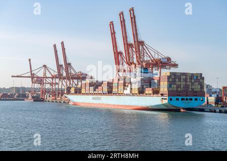 Das Containerschiff Santana von Maersk dockte in Vancouver Harbour, Vancouver, British Columbia, Kanada Stockfoto