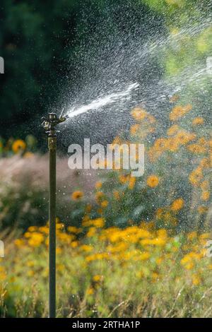 Verwendung eines fest montierten Gartenreglers zur Bewässerung eines Gartens im Spätsommer Stockfoto