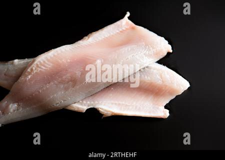 Weißfischverrundungen auf schwarzem Hintergrund. Draufsicht. Stockfoto