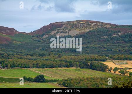 September: Blick auf die Sidlaw Hills und das Strathmore Valley in Dundee, Schottland Stockfoto