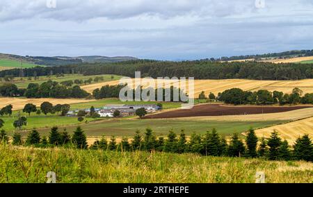 September: Blick auf die Sidlaw Hills und das Strathmore Valley in Dundee, Schottland Stockfoto