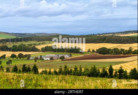 September: Blick auf die Sidlaw Hills und das Strathmore Valley in Dundee, Schottland Stockfoto