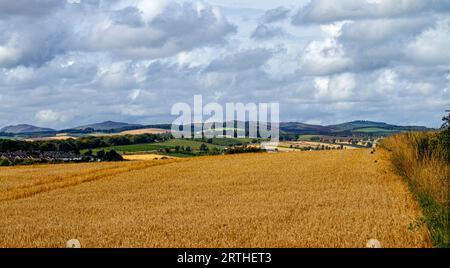 September: Blick auf die Sidlaw Hills und das Strathmore Valley in Dundee, Schottland Stockfoto