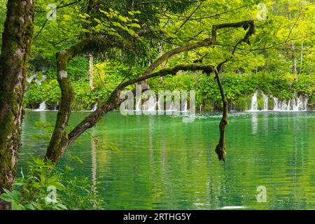 Landschaft im Nationalpark Plitvicer Seen in Kroatien. Stockfoto