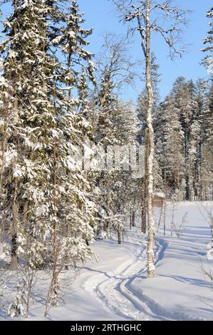 Finnische schneebedeckte Landschaft an der russischen Grenze, Lentiira, Finnland Stockfoto