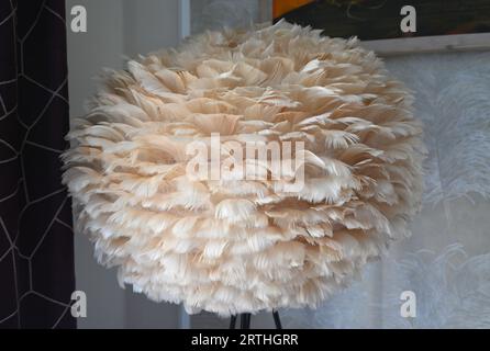 Federleichter Lampenschirm Stockfoto